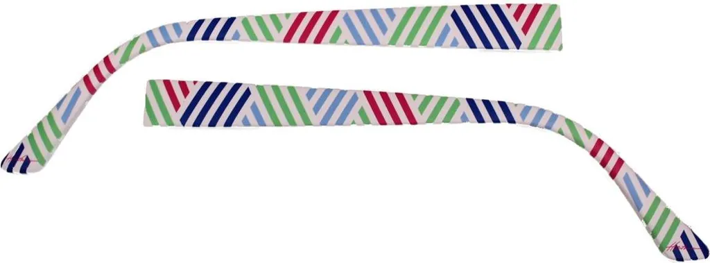 Eye Max 5415.01 Branche interchangeable robuste et design moderne