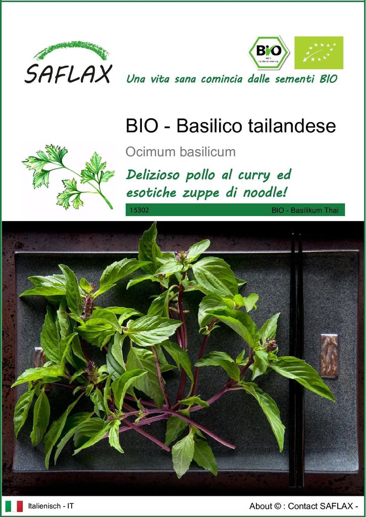 SAFLAX  -- Basilico tailandese - 250 semi - Ocimum Immagine del prodotto 