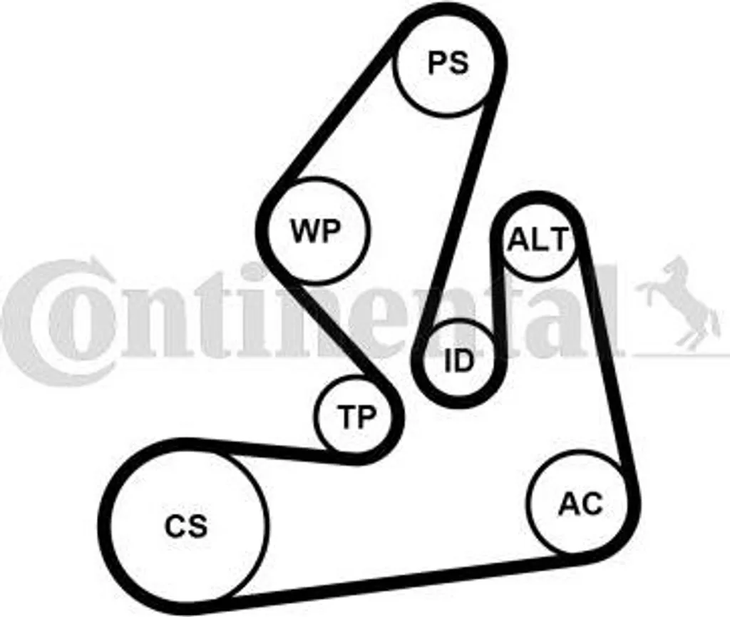 Kit courroie 7PK1970K1 anti-bruit pour Renault Master, Trafic et Laguna