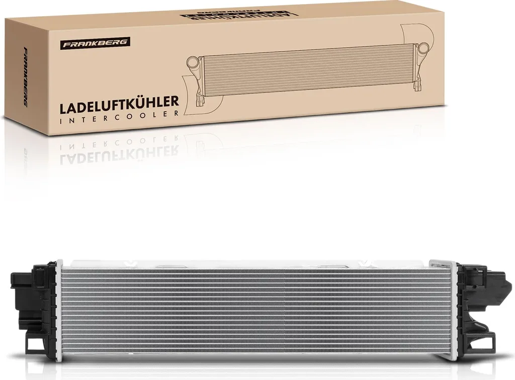 Intercooler de Suralimentation pour Renault Trafic III Bus et Fourgon