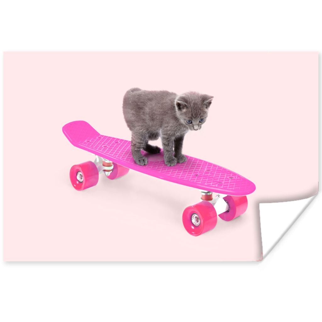 MuchoWow Poster Katze - Kätzchen - Tiere - Skateboard - Rosa 120x80 cm - Bilder