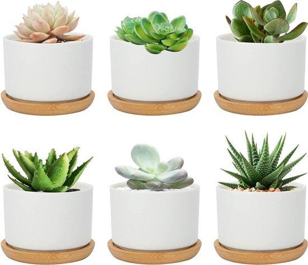 Keramische cactus-bloempot-set mit 6 Stücken, 7,5 cm, weiß, einfaches Design