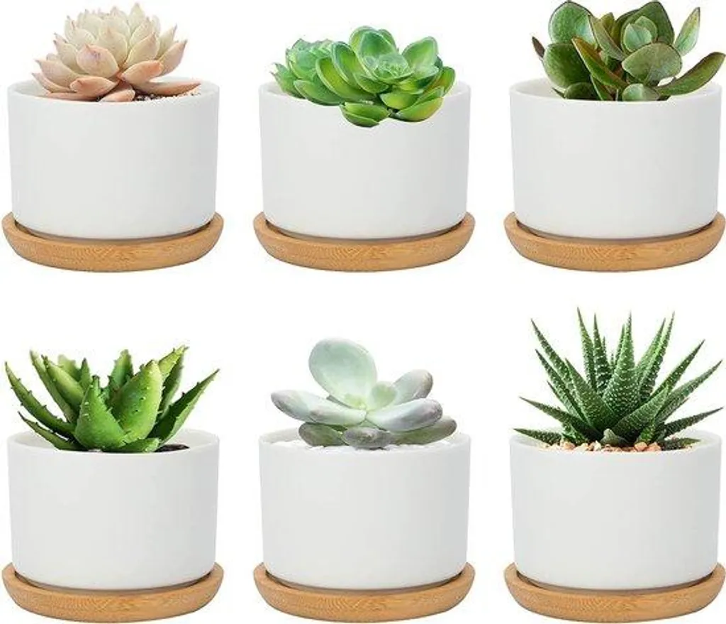 Lot de 6 pots de fleurs en céramique blanche cactus 7,5 cm design épuré