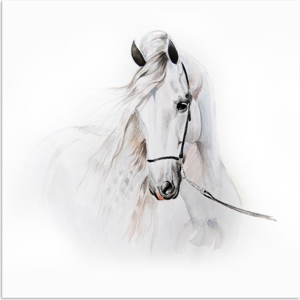 MuchoWow Poster Pferd - Aquarell - Tiere - Weiß 75x75 cm - Wand Dekoration