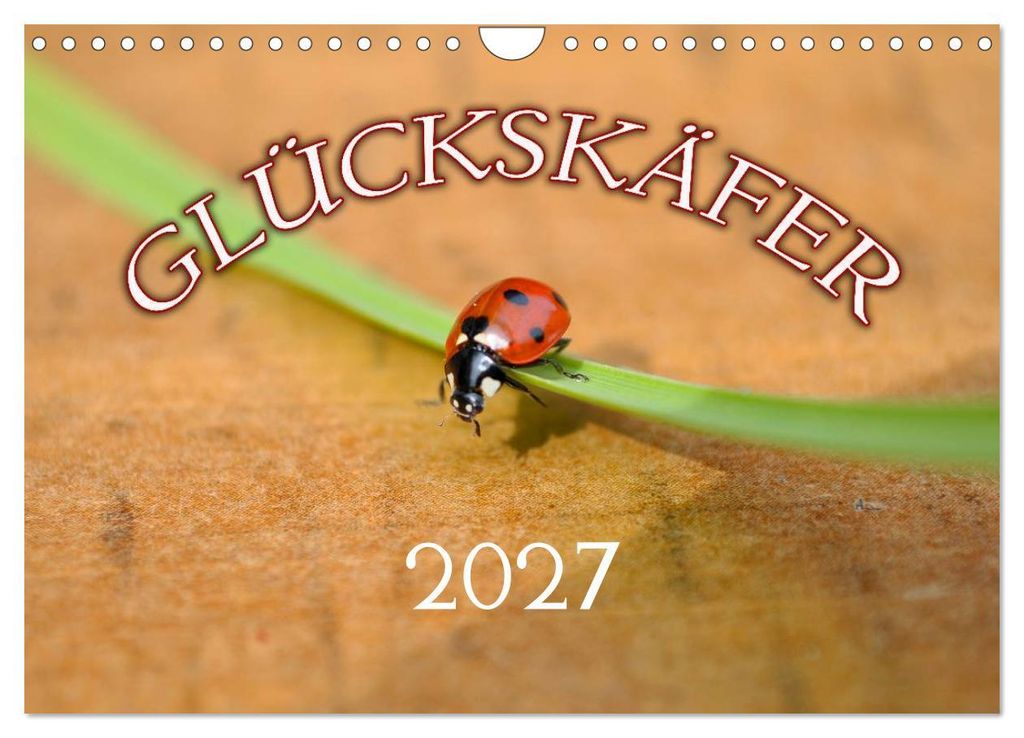 Marienkäfer 2027 (Wandkalender 2027 DIN A4 quer), CALVENDO Monatskalender