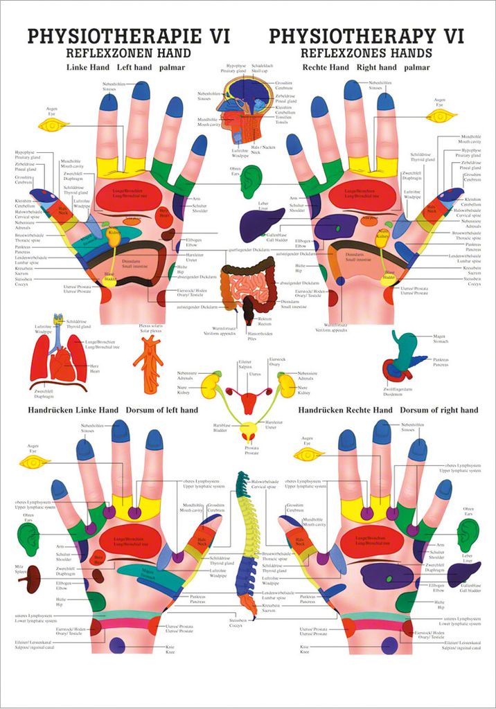 Reflexzonen Hand Mini-Poster Anatomie 34x24 cm medizinische Produktbild 