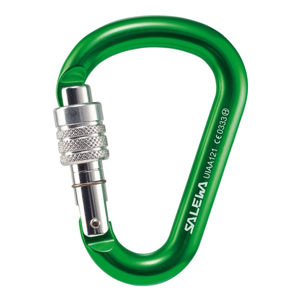 Salewa Karabiner 'HMS G2', small, Screw, blau