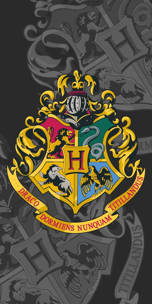 JERRY FABRICS Ręcznik Harry Potter 087 bawełna - frotte, Zdjęcie produktu 