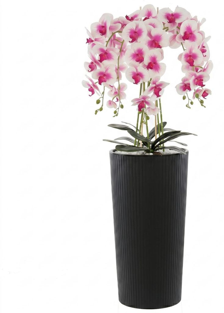 Künstliche Orchidee Cremerosa Kaskaden Blumenstrauß im Topf Produktbild 