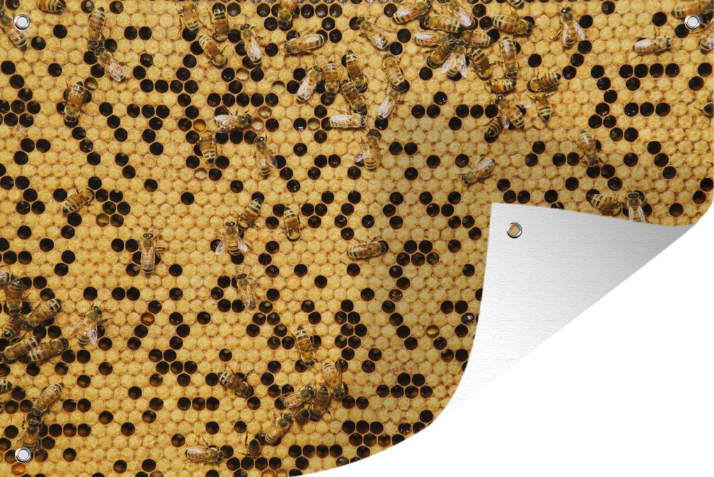 MuchoWow 120x80 cm Outdoor-Poster Gartendeko Sichtschutz Garten Poster für den Garten Nahaufnahmen eines Bienenstocks