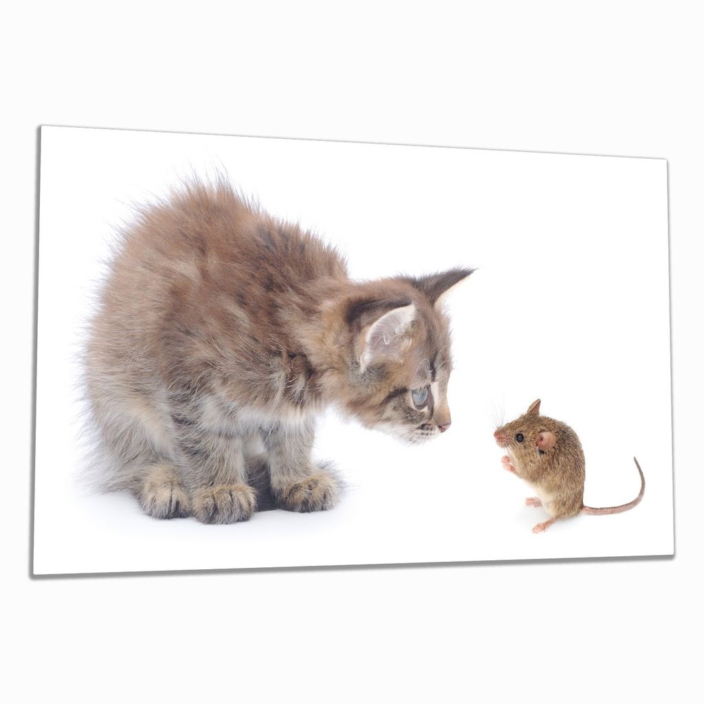 Wallario Herdabdeckplatte aus Glas, Größe 90 x 52 cm 1-teilig, Motiv Katze und Maus beim Spielen - weißer Hintergrund
