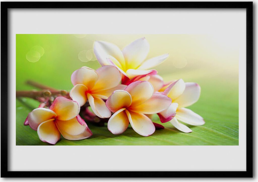 Bild 70x50 MDF-Rahmen Wandkunst Blumen Pflanzen Natur