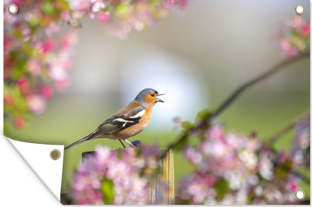 MuchoWow 60x40 cm Outdoor-Poster Gartendeko Sichtschutz Garten Poster für den Garten Vogel, der auf einer Holzstange mit vielen rosa Blumen sitzt
