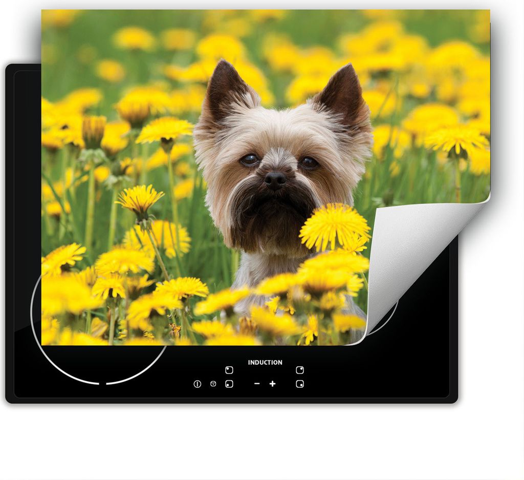 DarHaus Herdabdeckplatte 70x52 cm Anti Rutsch Matte Aufrollbar, Hund - Blumen