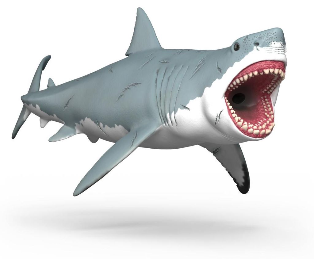 Megalodon Immagine del prodotto 