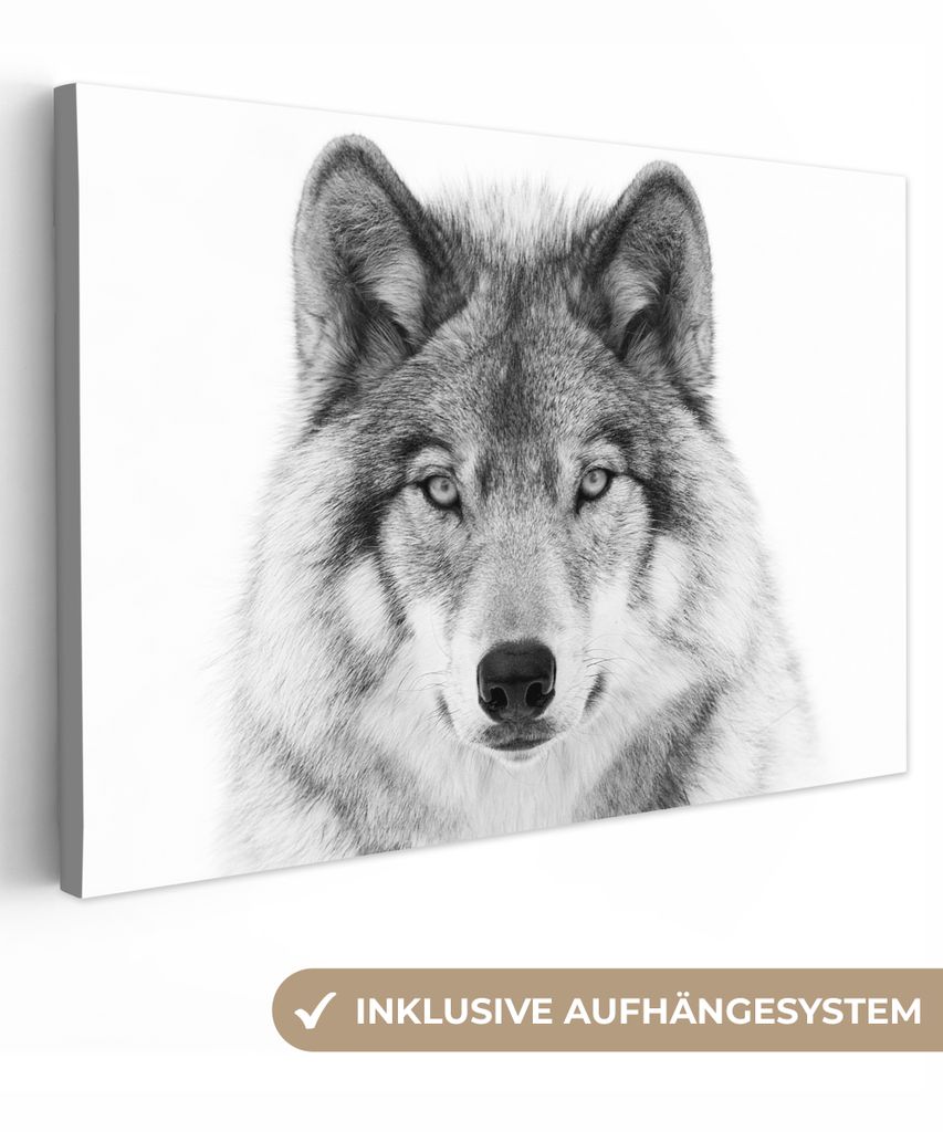 OneMillionCanvasses - Leinwandbilder - 150x100 cm, Wolf - Tiere - Porträt - Weiß, Wandbilder Kunstdruck Wanddekoration - Foto auf Leinwand - Ge...