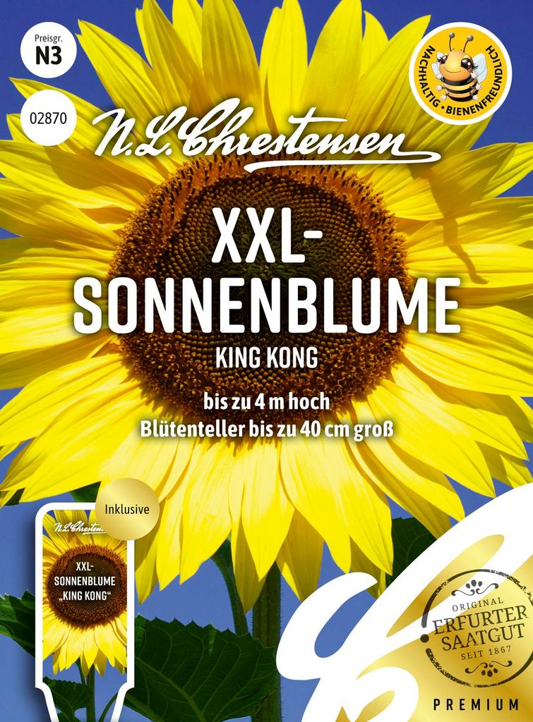 XXL - Sonnenblume King Kong | Sonnenblumensamen von N.L. Produktbild 