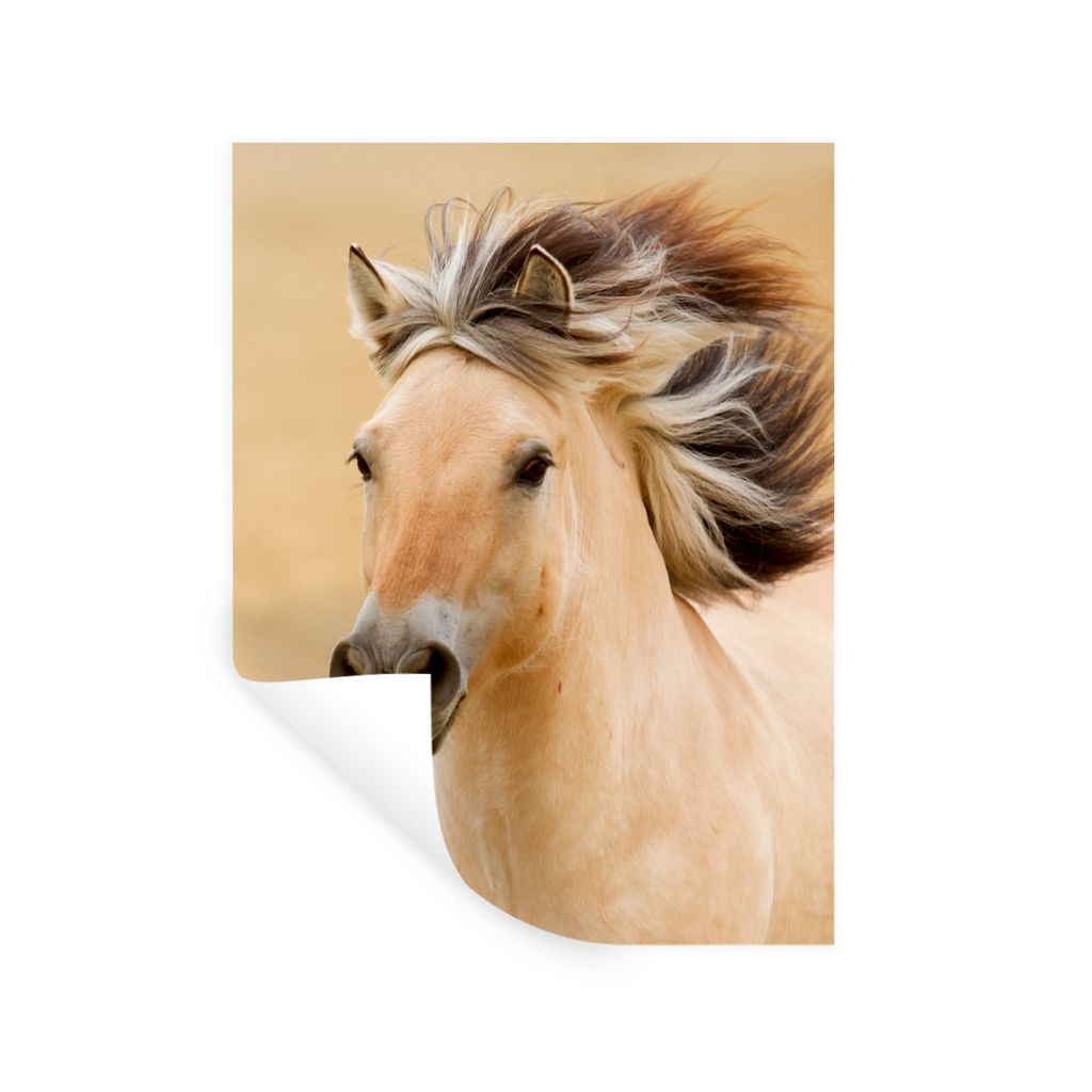 MuchoWow Wandtattoo Wandsticker Wandaufkleber Pferde - Tiere - Mähne - Porträt 60x80 cm Selbstklebend und Repositionierbar - Repositionierbar -...