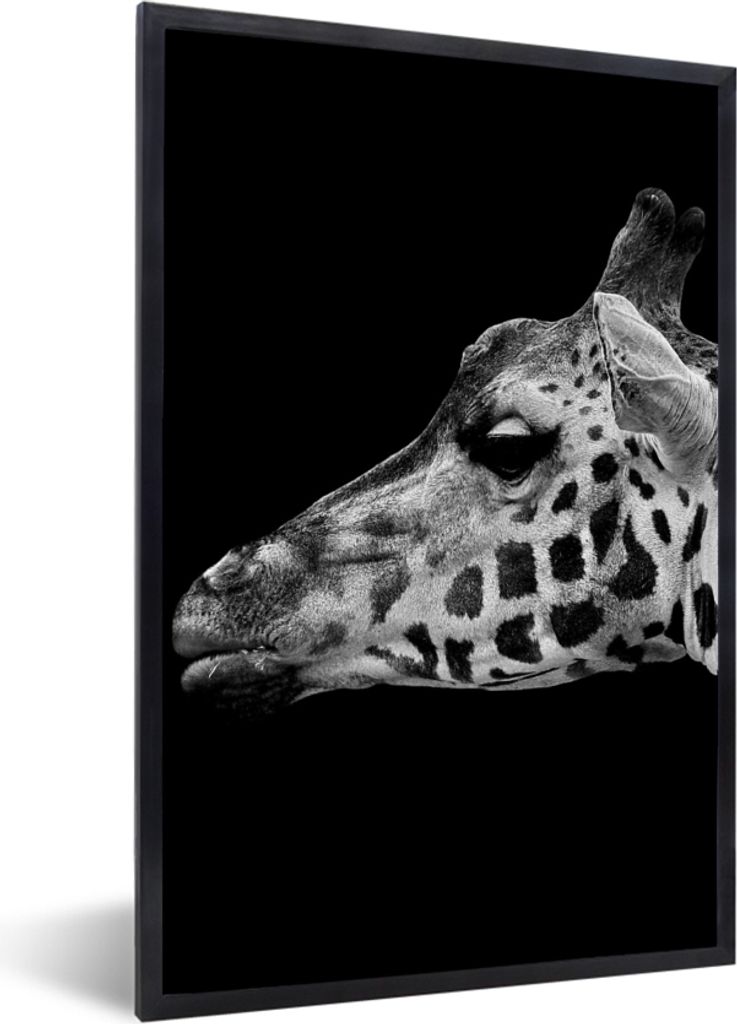 MuchoWow Gerahmtes Poster Tiere - Giraffe - Schwarz - Weiß 20x30 cm - Poster mit Schwarzem Bilderrahmen Wandposter Rahmen Foto Bilder - Drucken ...