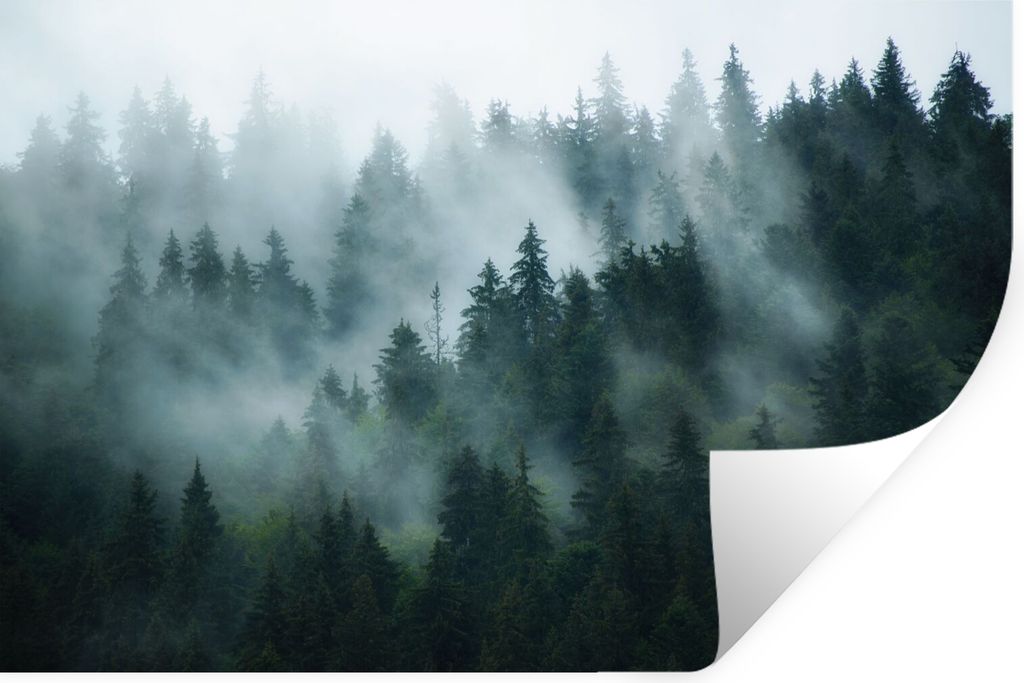 MuchoWow Wandtattoo Wandsticker Wandaufkleber Nebel - Bäume - Wald 60x40 cm Selbstklebend und Repositionierbar - Wierderverwendbar - Selbstklebend
