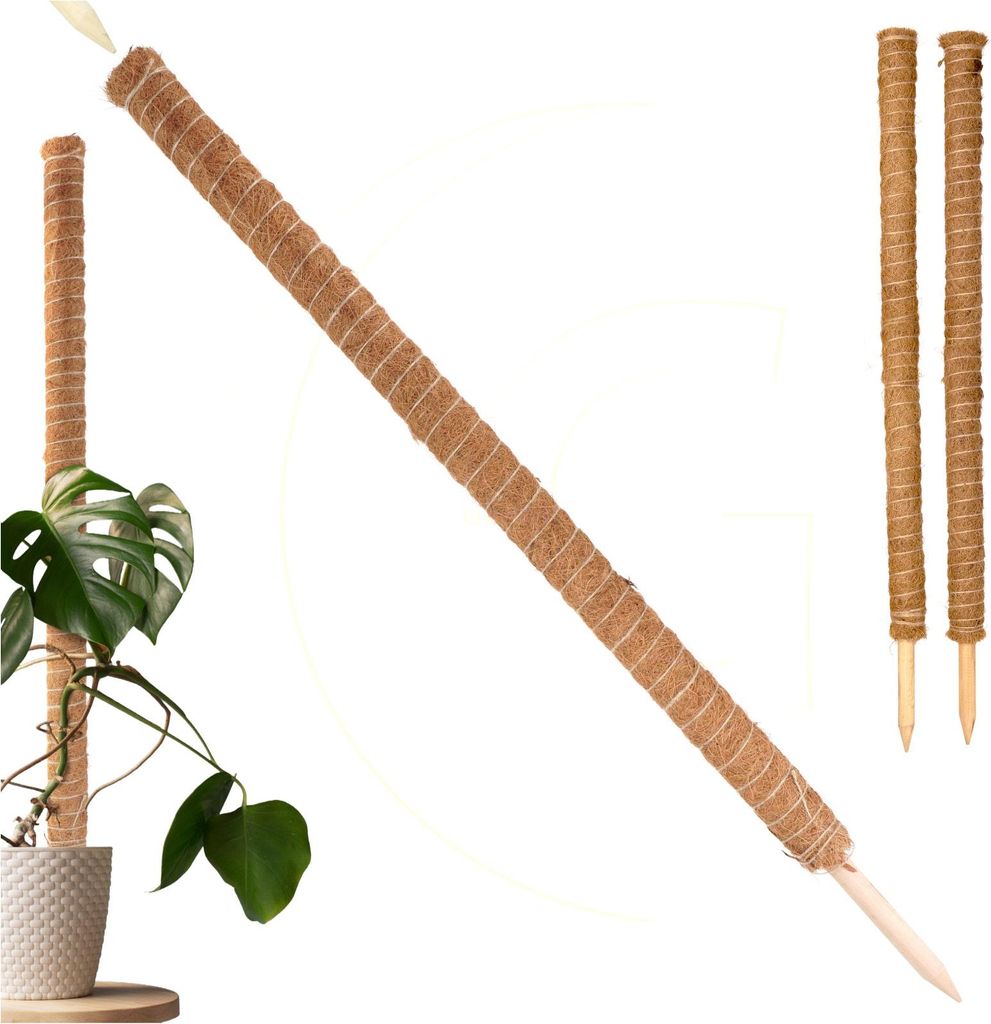 ​Erweiterbare Rankhilfe Kokosstab 110 cm mit Kokosfilz für Produktbild 