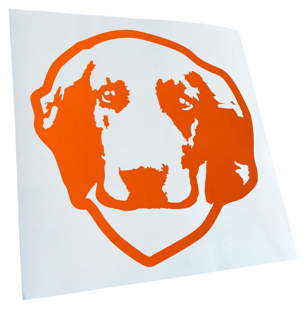 Kiwistar - Autoaufkleber - welsh springer Hund - Orange - 40x40cm - Aufkleber für Auto, Laptop, Fahrrad, LKW, Motorrad mehrfarbig JDM Decal Racing