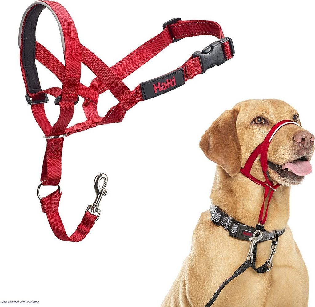 The Company of Animals Halterhalsband für Hunde, Kopfhalsband gegen Ziehen für kleine, mittlere und große Hunde