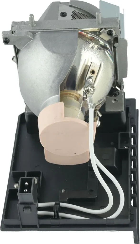 Module Lampe 60003130 pour NEC NP-U300X avec boîtier de montage