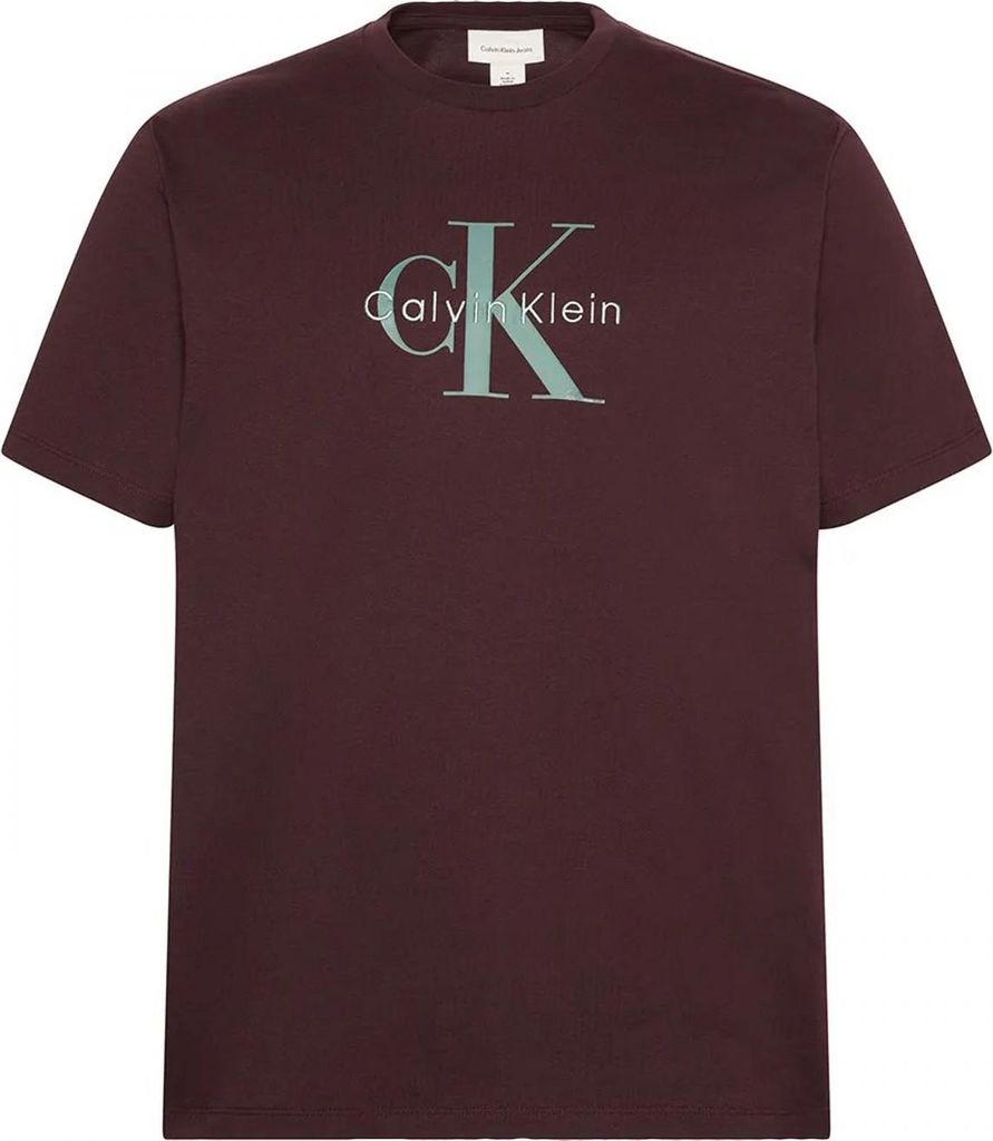 CALVIN KLEIN HERO MONOLOGO TEE 20S Brown