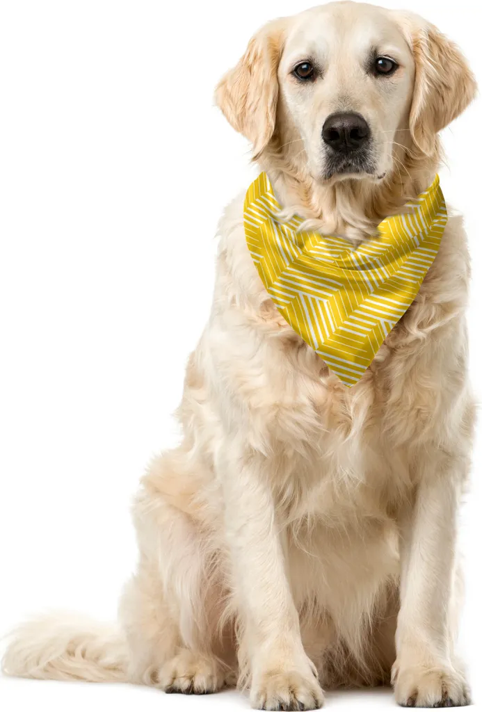 Bandana ABAKUHAUS 55x55 cm per Animali - Gialla e Bianca Reticolo
