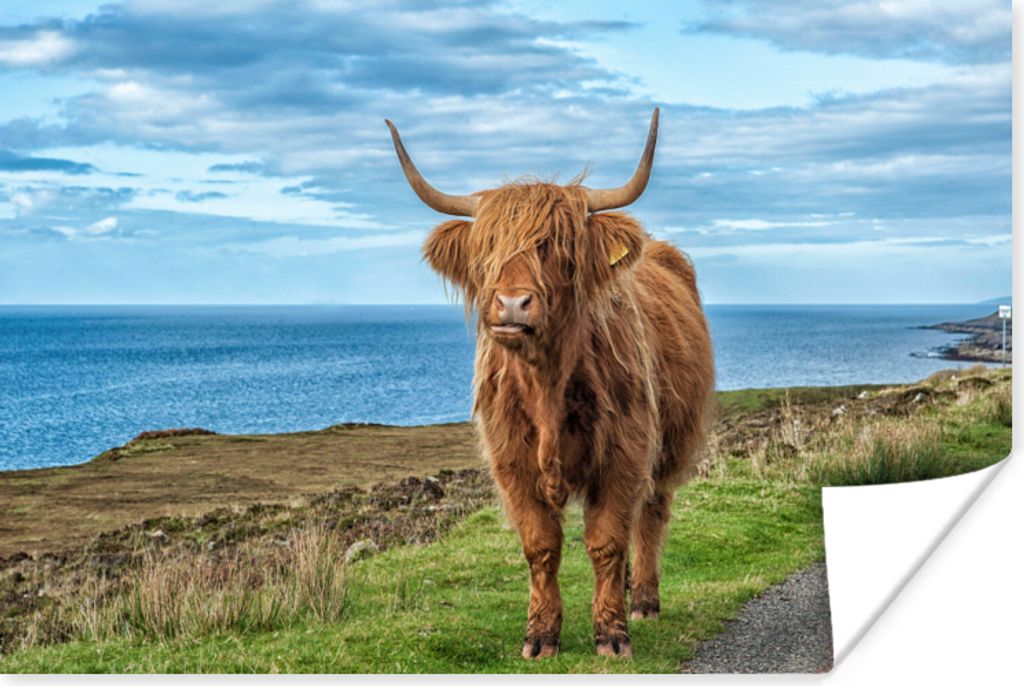 MuchoWow Poster Schottischer Highlander - Wasser - Hörner 180x120 cm - Fotoplakat