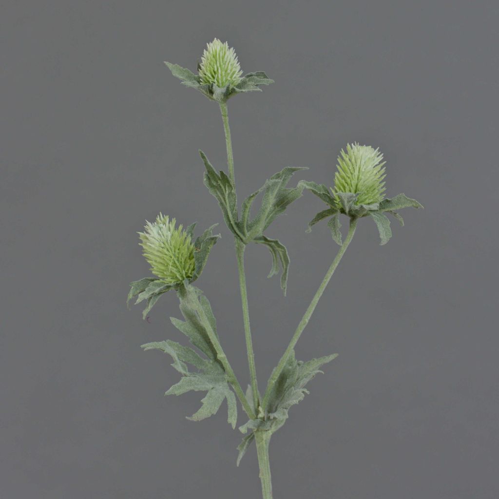 artplants.de Künstliche Edeldistel Svea, 3 Blüten, grün, 40cm - Kunstblume - Textilblume