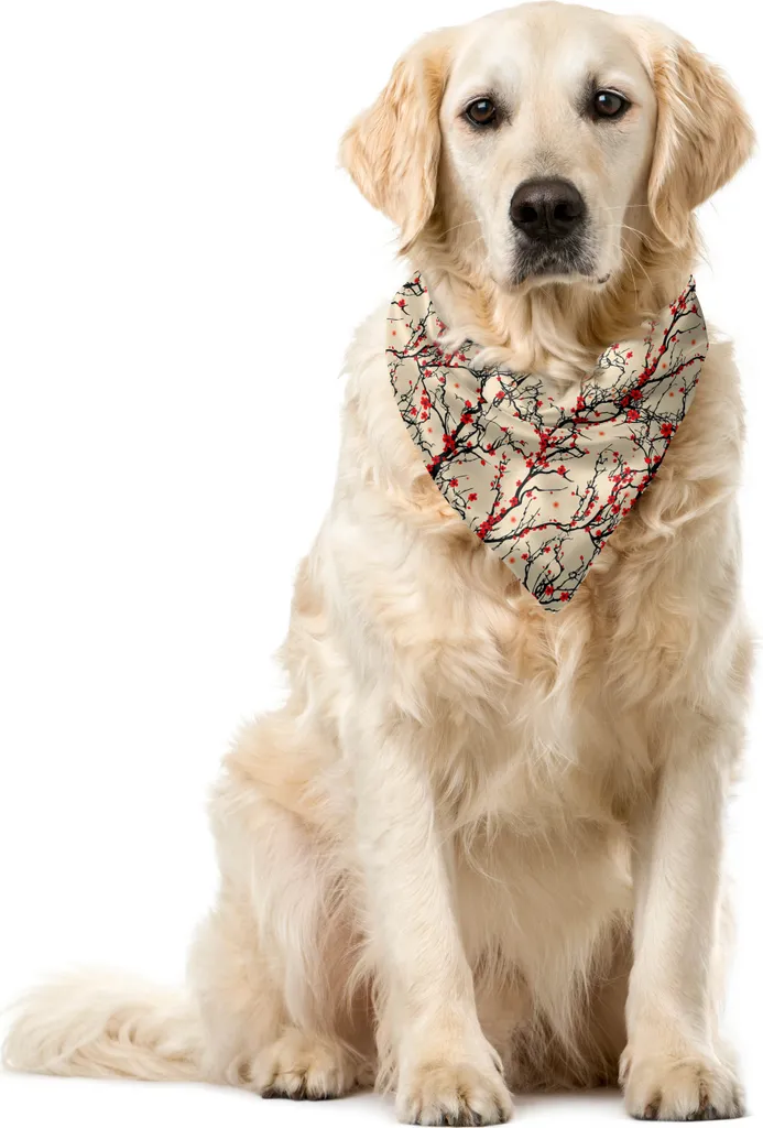 Bandana Cane Comoda ABAKUHAUS Sakura 55x55cm Beige Tessuto Soft