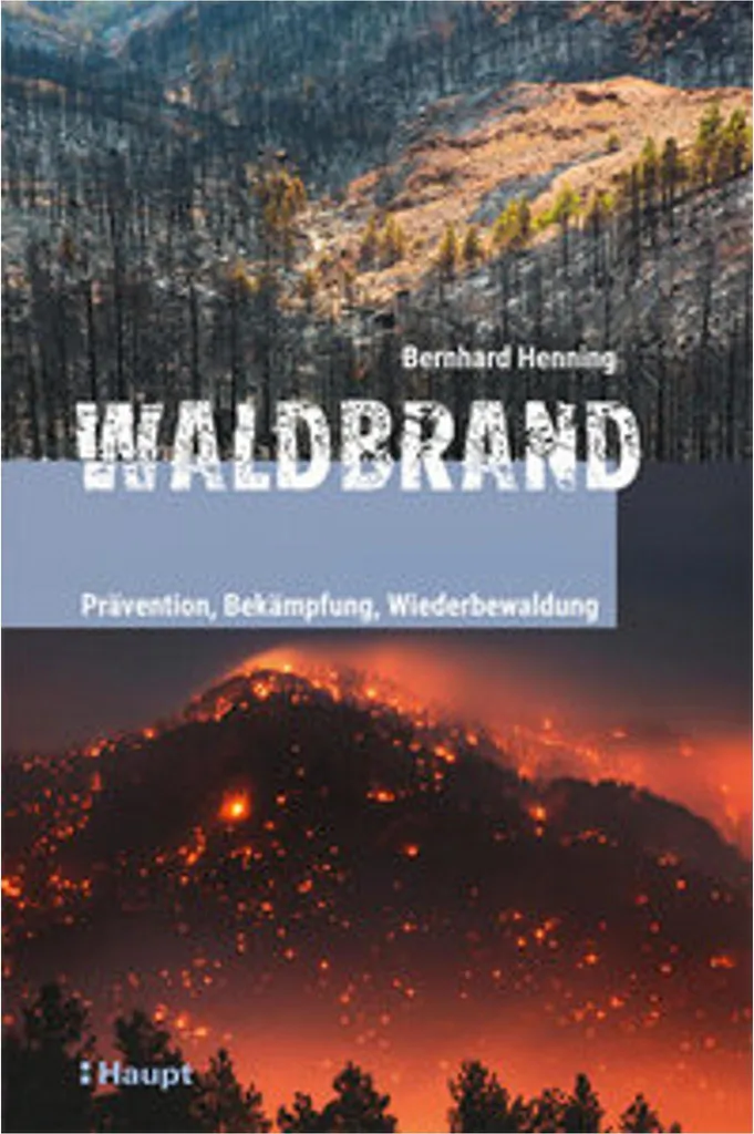 Waldbrand Encens Naturel de Forêt avec Notes de Cèdre et Bois de Santal