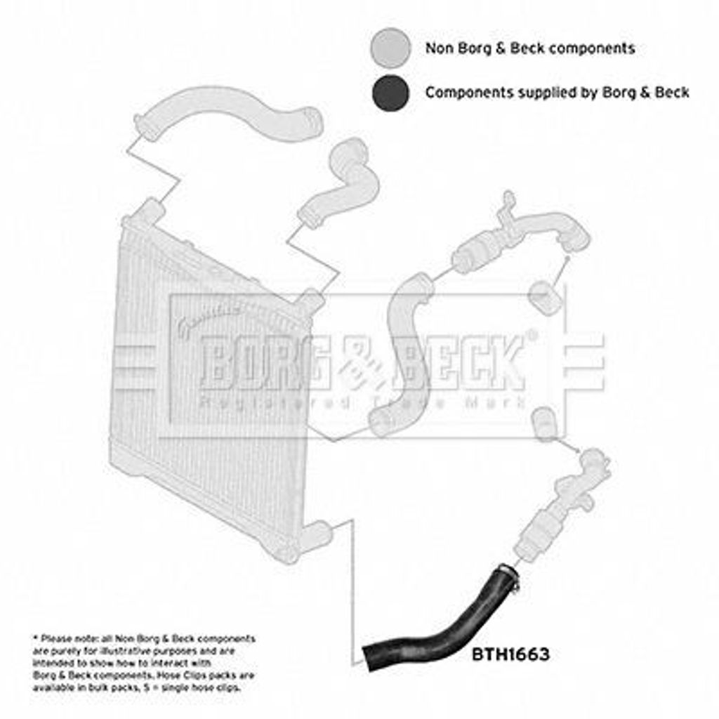 BORG & BECK BTH1663 Turbo Ladeluftschlauch für LAND ROVER Range Rover III (L322)