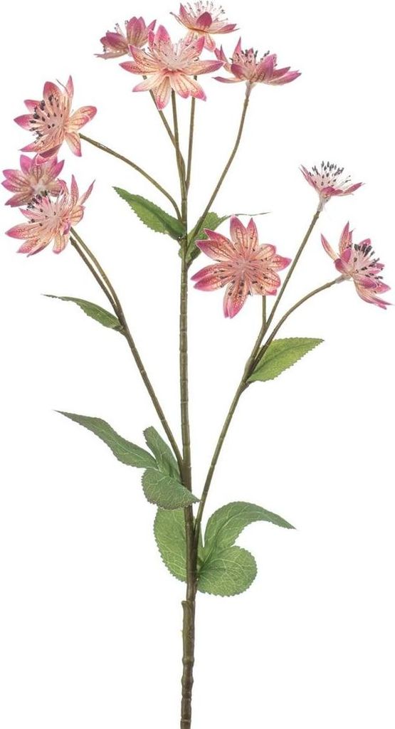 artplants.de Künstlicher Zweig Sterndolde JAXRON, rosa, 70cm - Dekozweig