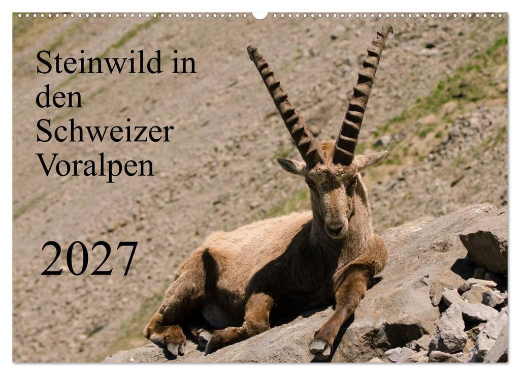 Steinwild in den Schweizer Voralpen (Wandkalender 2027 DIN A2 quer), CALVENDO Monatskalender