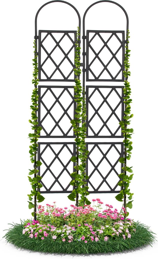 Wandspalier Schwarz 60x175 cm mit Bogen Rankgitter Pflanzenstütze Gitterspalier für Garten