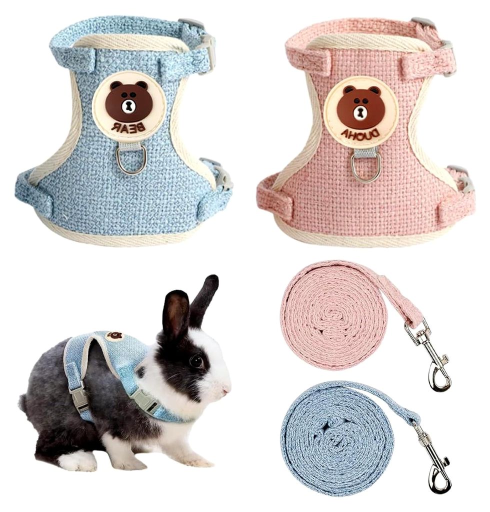 2 Stück Hasenleine 120 cm, Verstellbare Kaninchenleine, Atmungsaktives Hasengeschirr und Leinen-Set, Blau und Rosa, für Kaninchen, Katzen, Hamste...