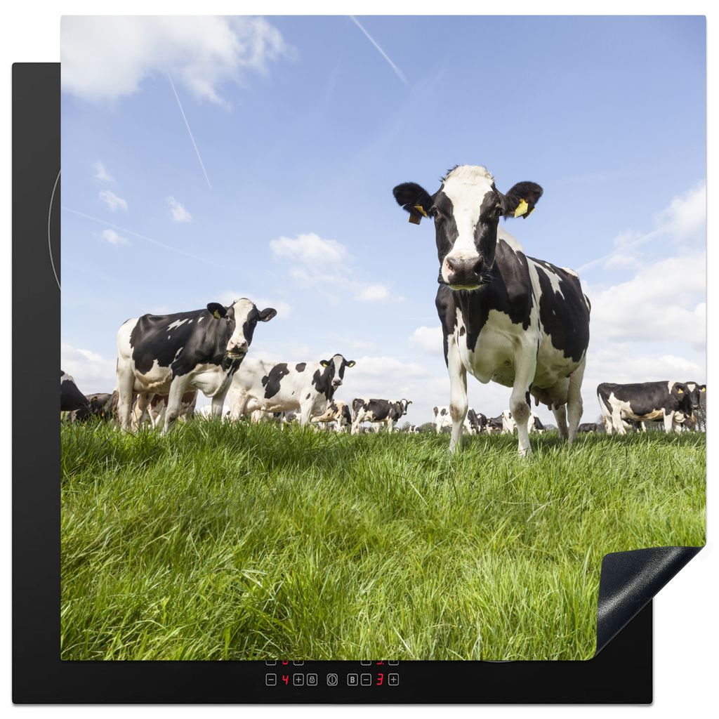 KitchenYeah Herdabdeckplatte Kühe - Tiere - Weide - Niederländisch , 78x78cm, Küche Deko, Glaskeramikkochfeld Herdabdeckung, Abdeckplatte fùr...