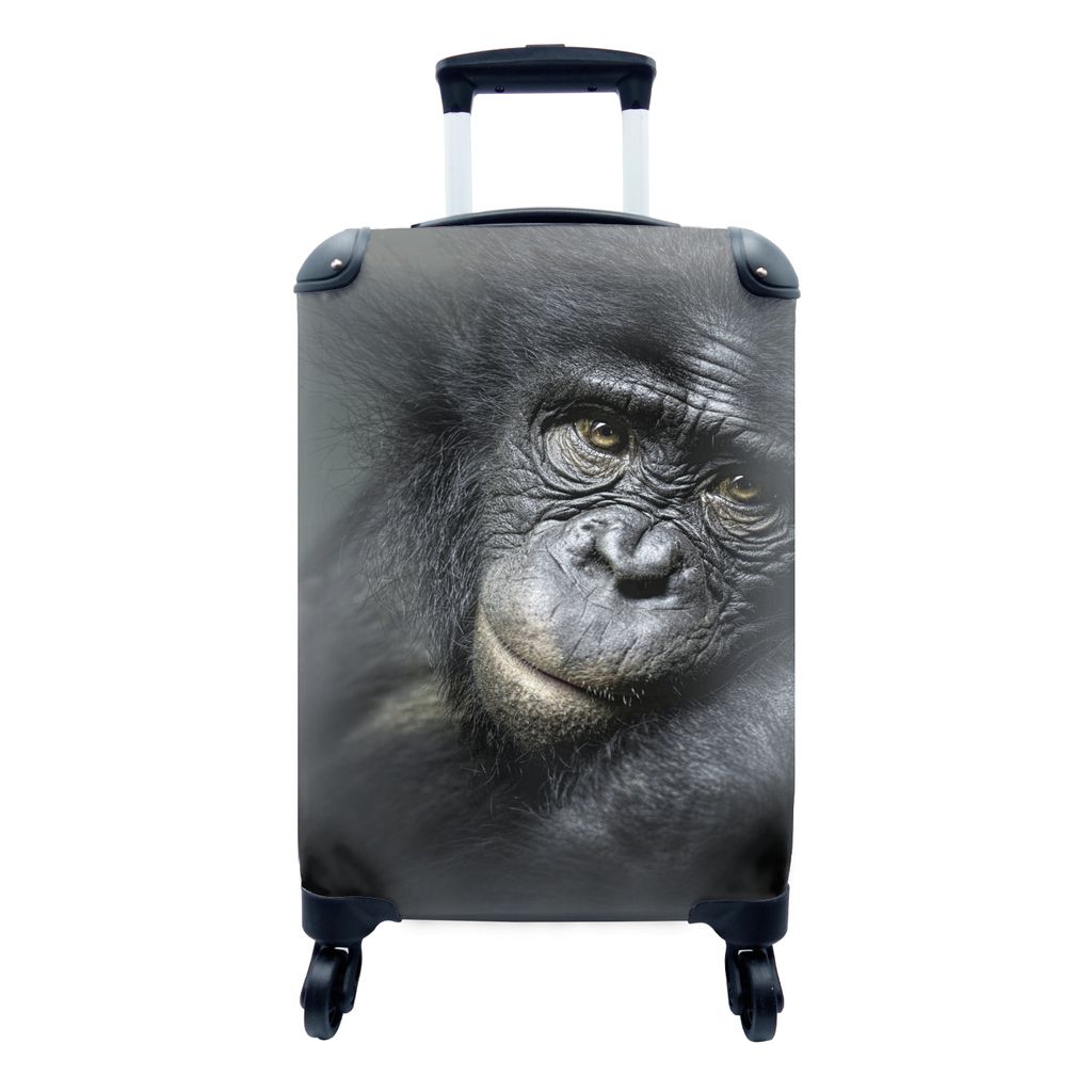 MuchoWow Koffer Handgepäck Trolley Rollkoffer Kleine Reisekoffer mit 4 Rollen - Schimpanse aus nächster Nähe - Cabin Size < 55x40x23 cm & 55x4...