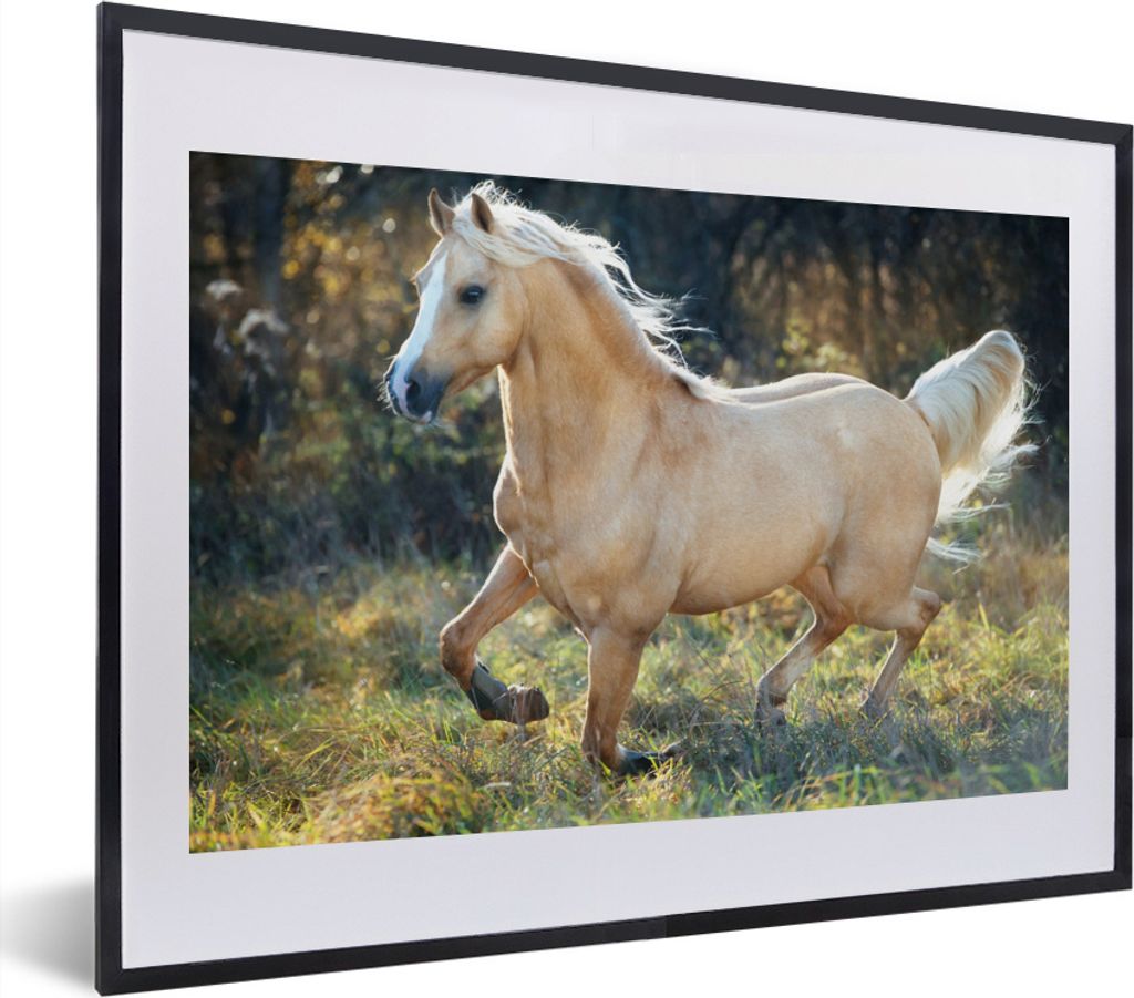 MuchoWow MuchoWow Gerahmtes Poster Pferd - Natur - Braun 40x30 cm - Poster mit zchwarzem Bilderrahmen - Bilderrahmen - Poster im Rahmen