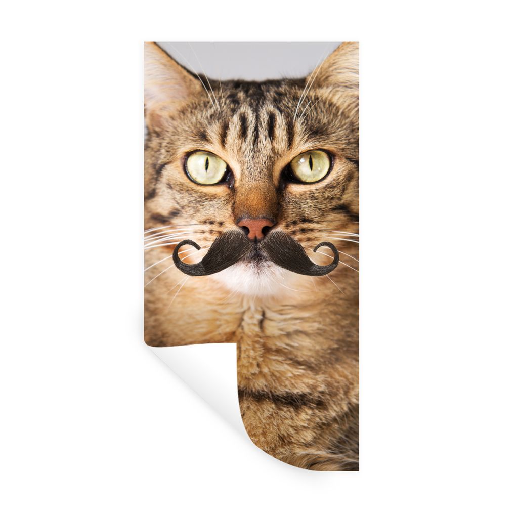 MuchoWow Wandtattoo Wandsticker Wandaufkleber Katze - Schnauzbart - Hipster 20x40 cm Selbstklebend und Repositionierbar - Selbstklebend - Fototap...