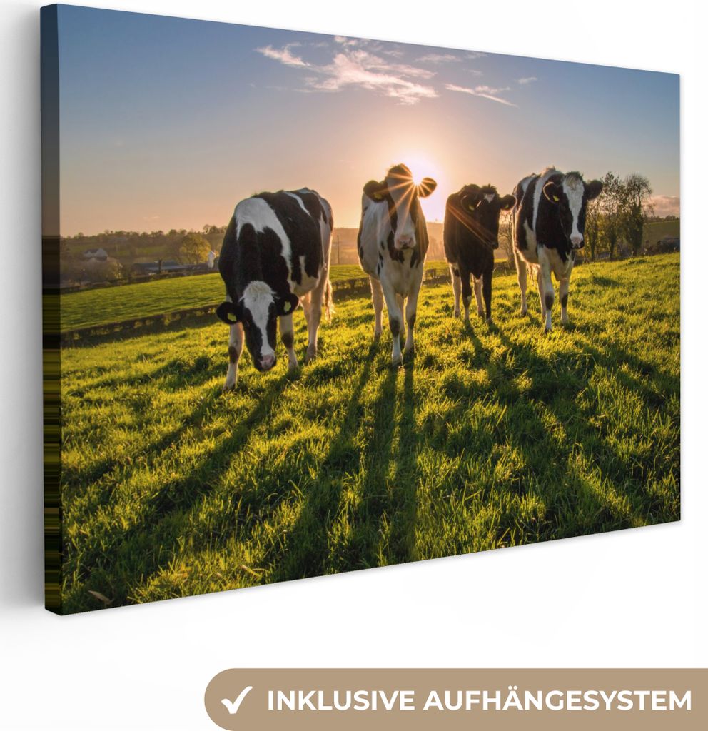 MuchoWow - Leinwandbilder - Kühe - Sonne - Gras - Tiere - Bauernhof, Wandbild, Wanddeko Bilder Wohnzimmer, 90x60 cm