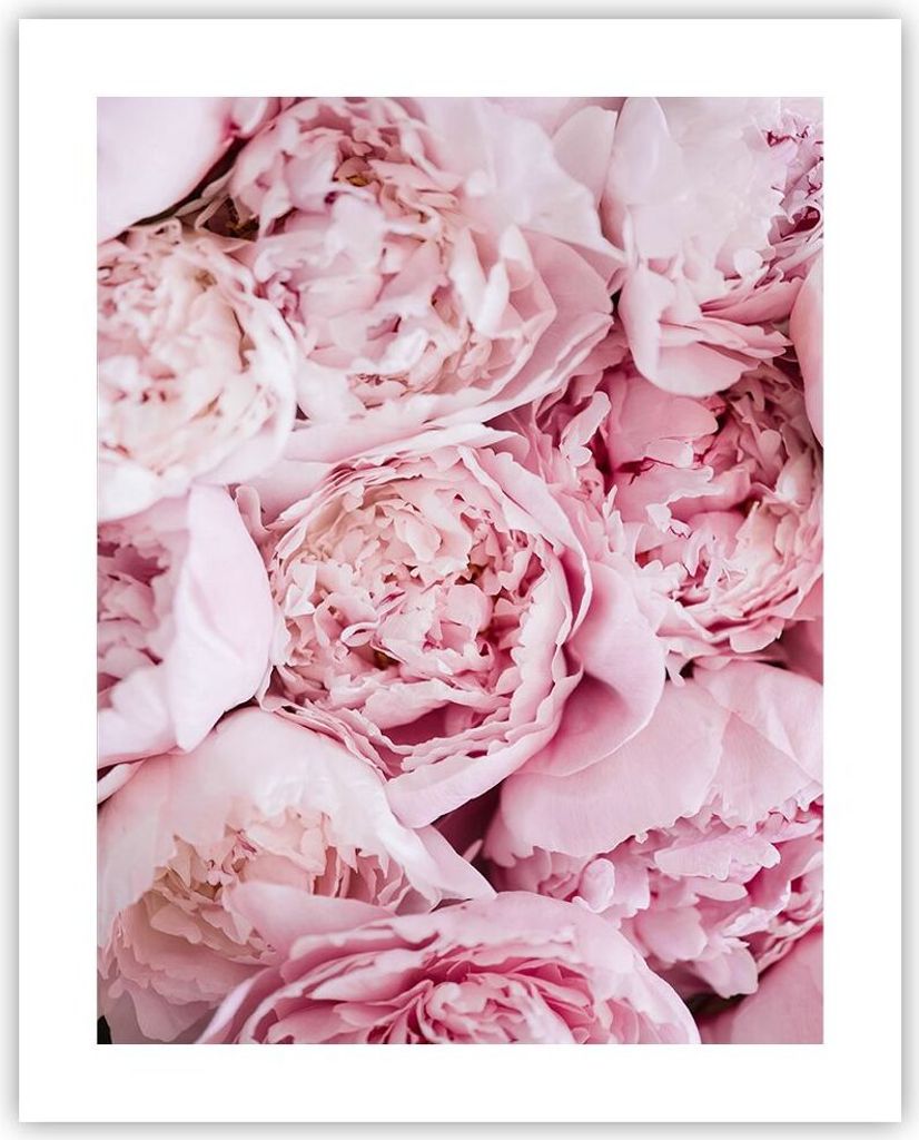 Poster - Poster ohne Rahmen - Blumenstrauß Blumen Rosa - 40x50 cm - Wand Bild - Wanddeko - Wandbilder - Kunstposter - Wandposter - Bilder - Kunstd...
