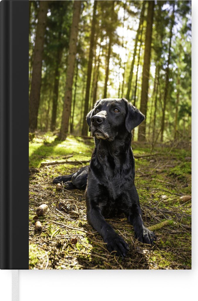 MuchoWow Notizbuch Tagebuch Haushaltsbuch Notebook A5 Sonnenstrahlen entlang eines Labrador Retrievers im Wald - Notizblock - Notizheft - Noteboo...