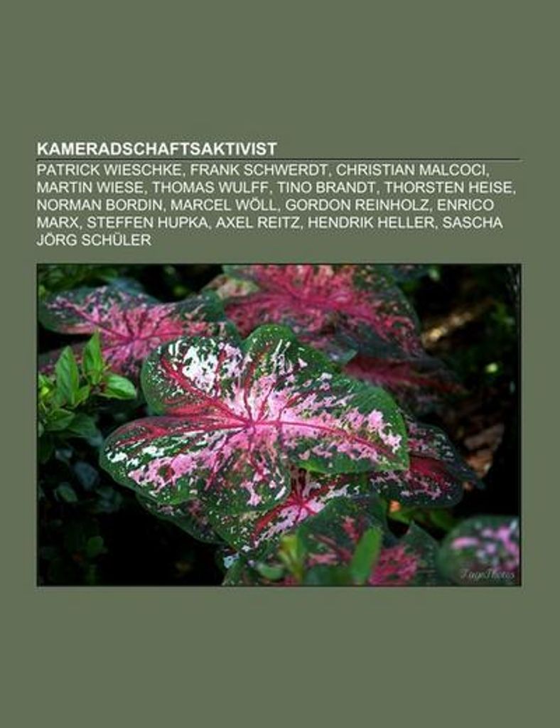 Kameradschaftsaktivist