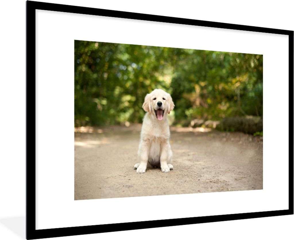 MuchoWow Gerahmtes Poster Labrador Retriever Welpe sitzt auf einem Waldweg 90x60 cm - Poster mit Schwarzem Bilderrahmen Wandposter Rahmen Foto Bi...