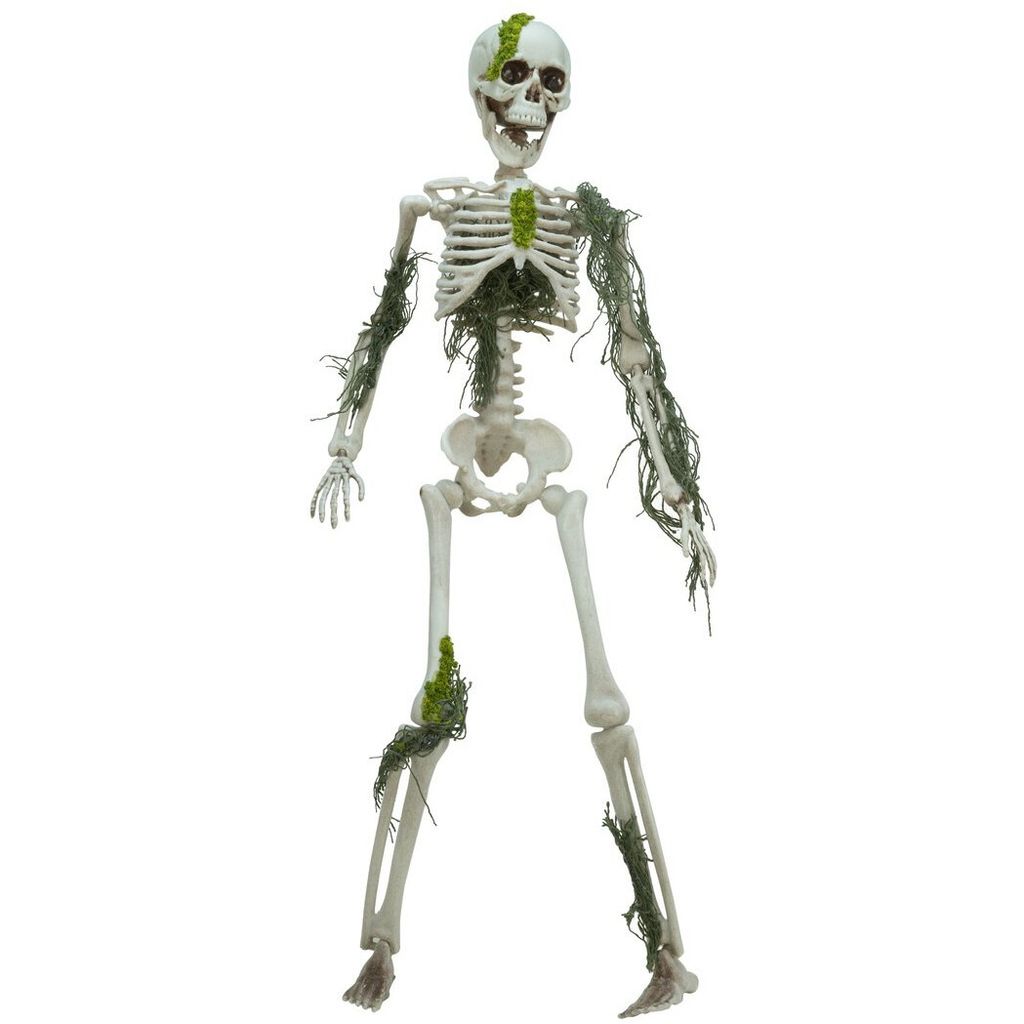 EUROPALMS Halloween Skelett mit Moos, 40cm