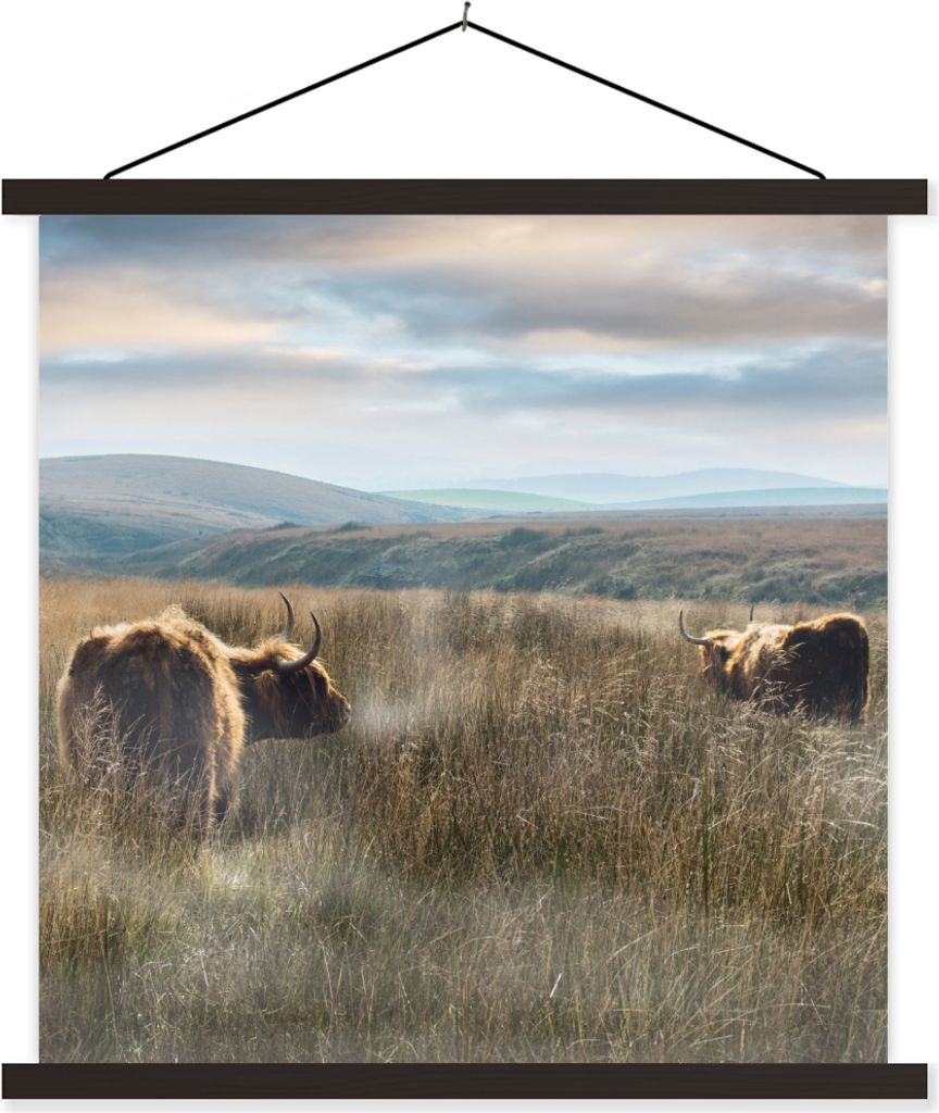 MuchoWow Textilposter Schottische Hochlandrind - Nebel - Gras 90x90 cm mit schwarzem Rahmen - Magnetisches